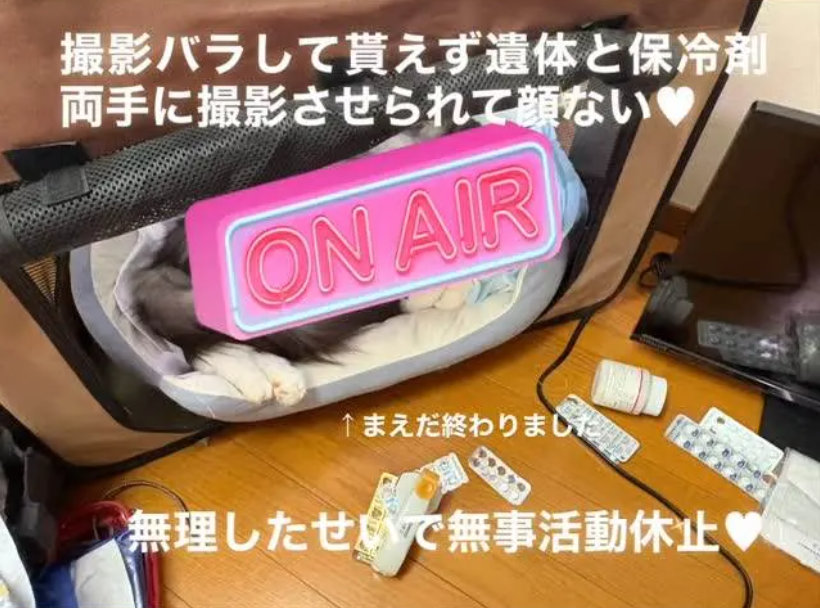 日本女優田中寧寧宣佈無限期退出AV界。（圖／翻攝田中寧寧IG）