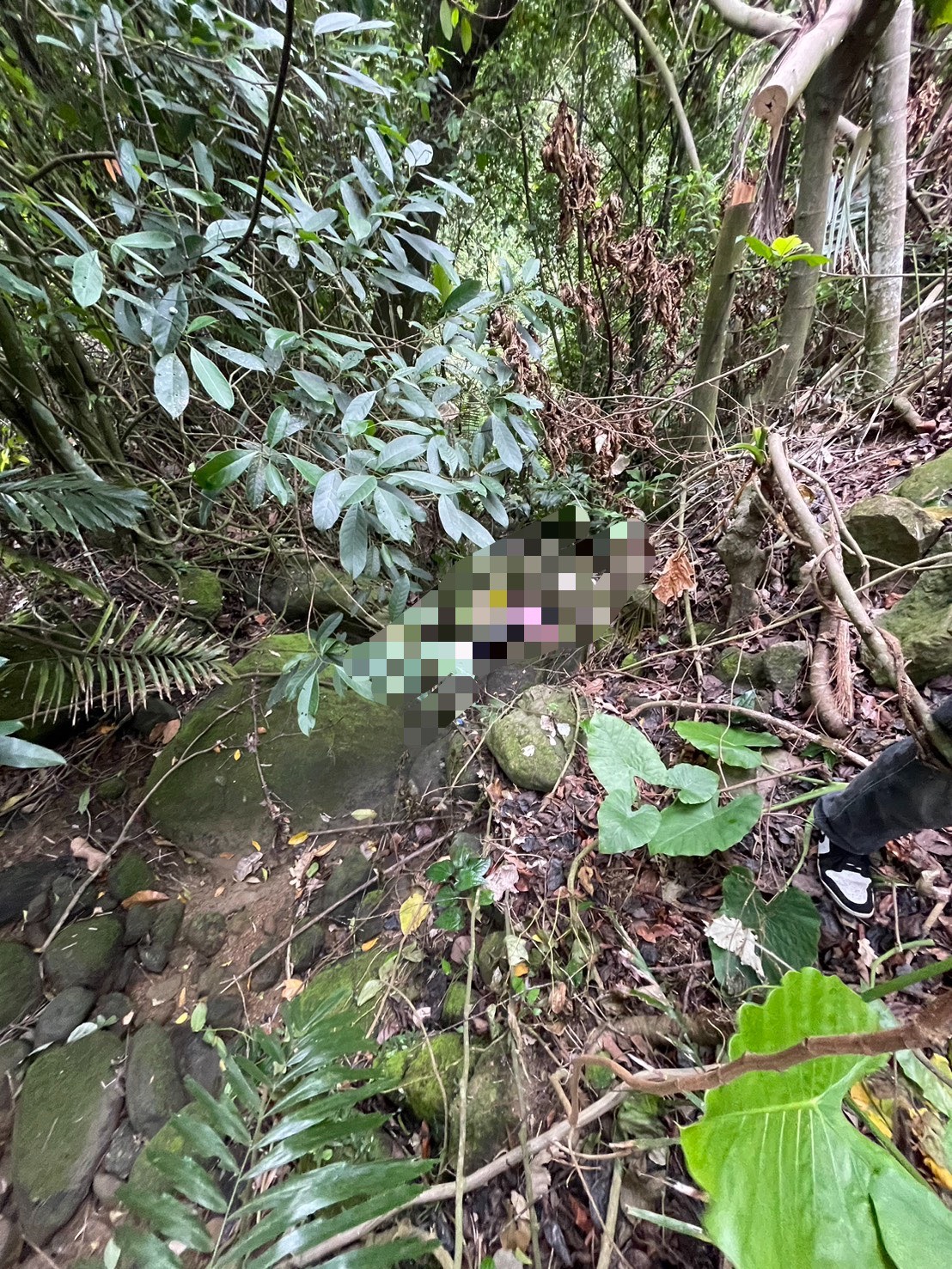 嘉義中埔一名男子陳屍河床邊疑似跌落！　檢警相驗調查