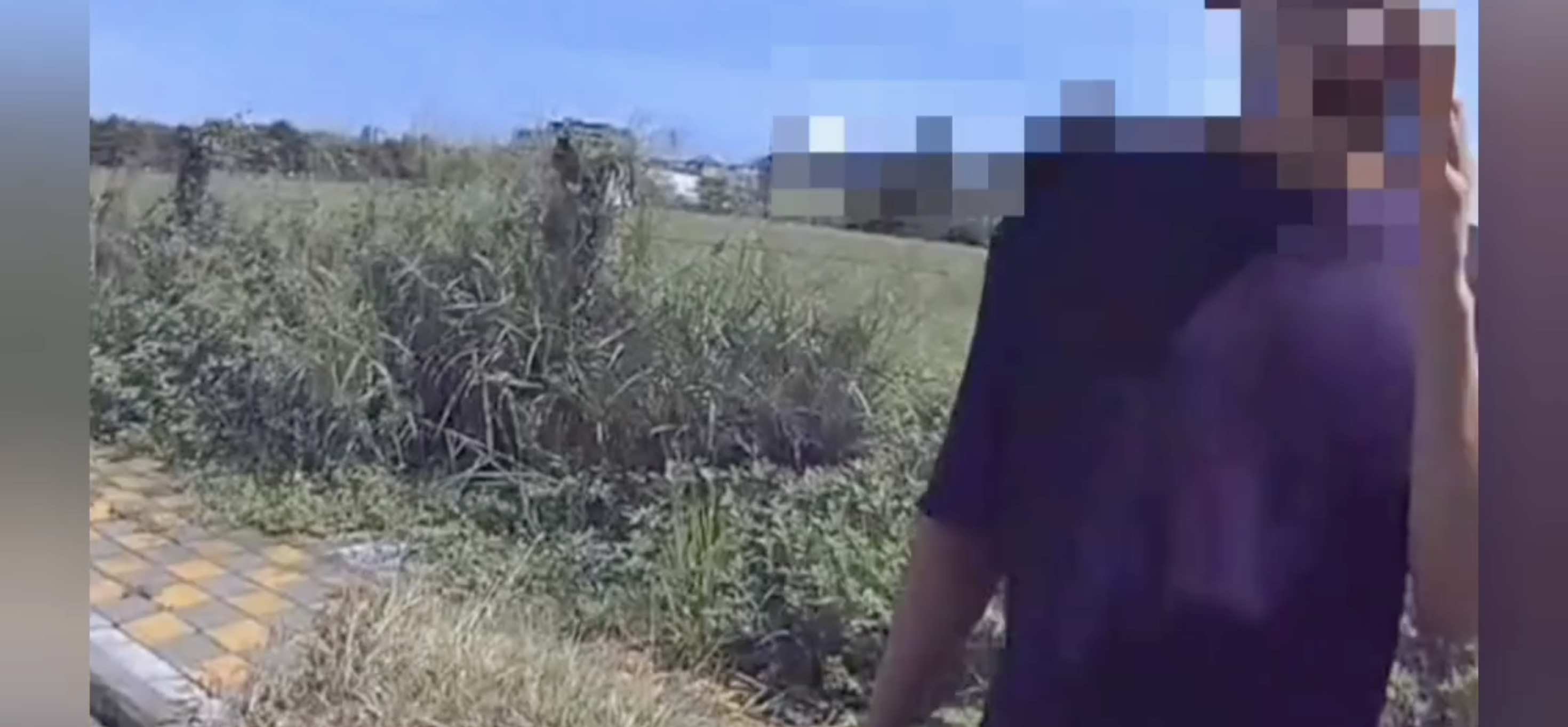 台中市西屯區馬龍潭路28日上午發生一起疑似毒駕案件。一輛自小客車停放在道路中央，駕駛神情恍惚、反應遲緩，影響往來車流，民眾發現後立即報警。警方到場查處，經唾液篩檢呈陽性反應，依法移送台灣台中地方檢察署偵辦。