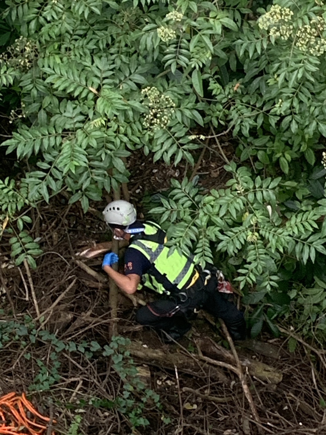 埔里虎頭山自行車事故!27歲女摔落15公尺邊坡 消防吊臂垂降救援