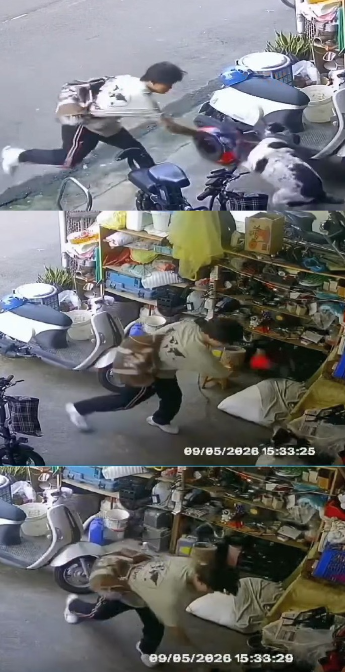 男子衝進鄰居家中，用全罩式安全帽連續重擊小狗，手段十分兇殘。翻攝臉書