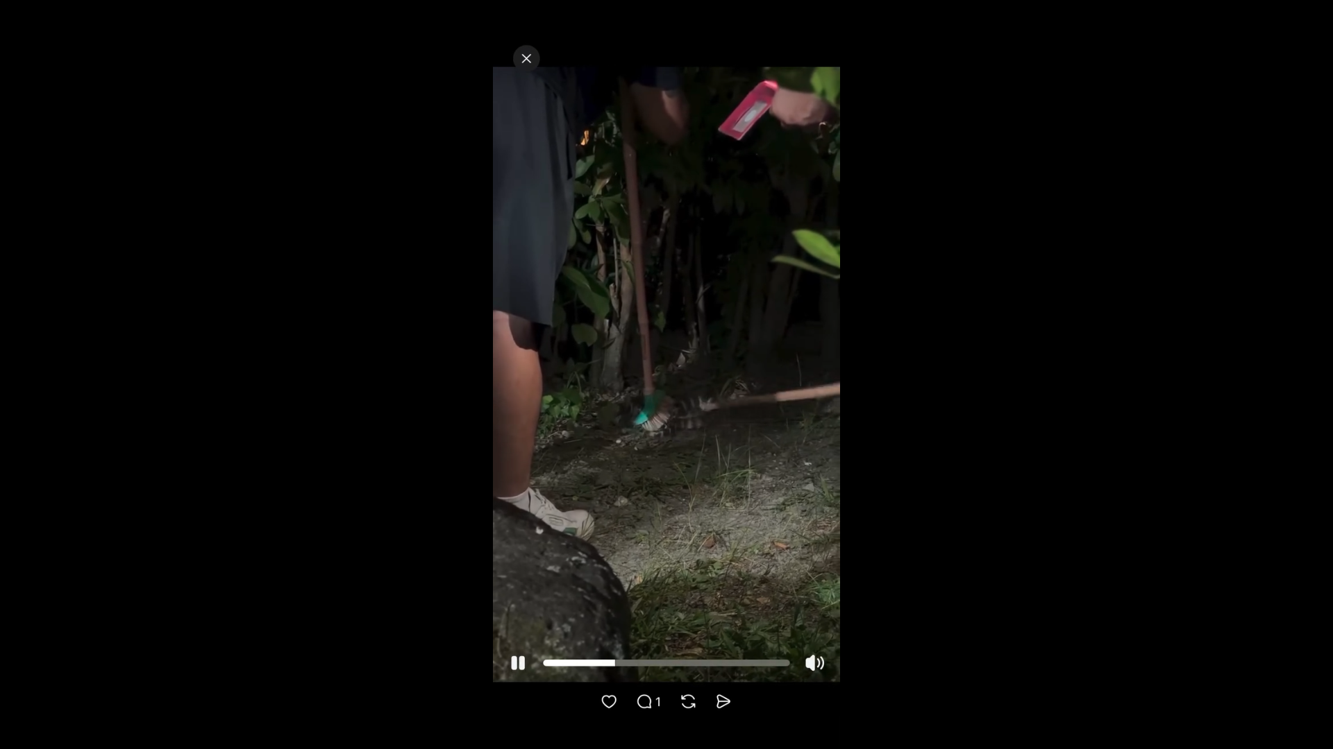 雨傘節遭抓後疑被虐待!影片曝光引眾怒 網友備份畫面籲主管機關查處