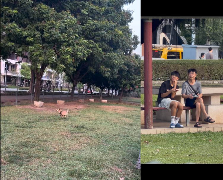 台中廍興公園驚見空拍機「貼地騷擾」毛小孩,警方勸導後兩男竟挑釁折返