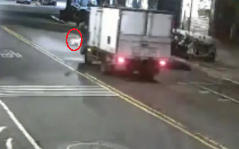 新店貓咪過馬路釀禍！　害小貨車撞3車2人受傷