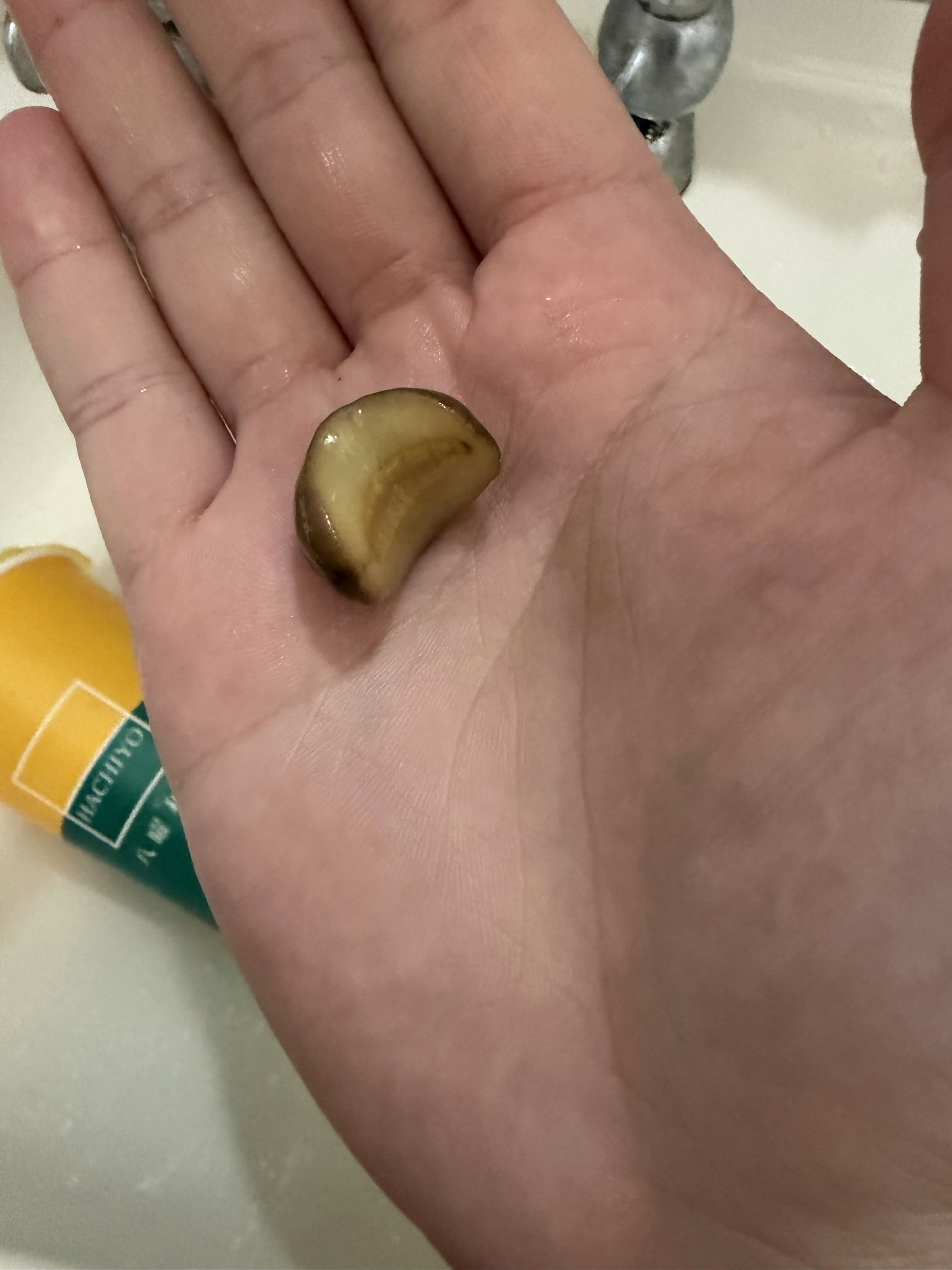 八曜和茶飲品驚見活蛞蝓！民眾以為是梅子嚇壞急診　東海門市停業調查