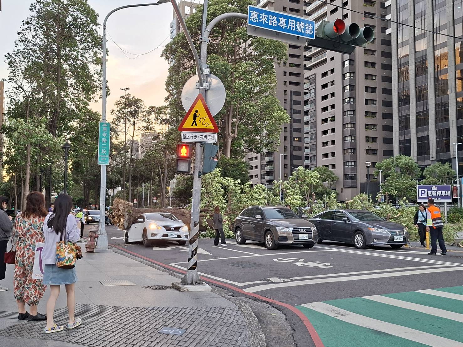 台中颱風警戒!新光三越旁路樹突倒塌砸中2車 車尾受損幸無人傷