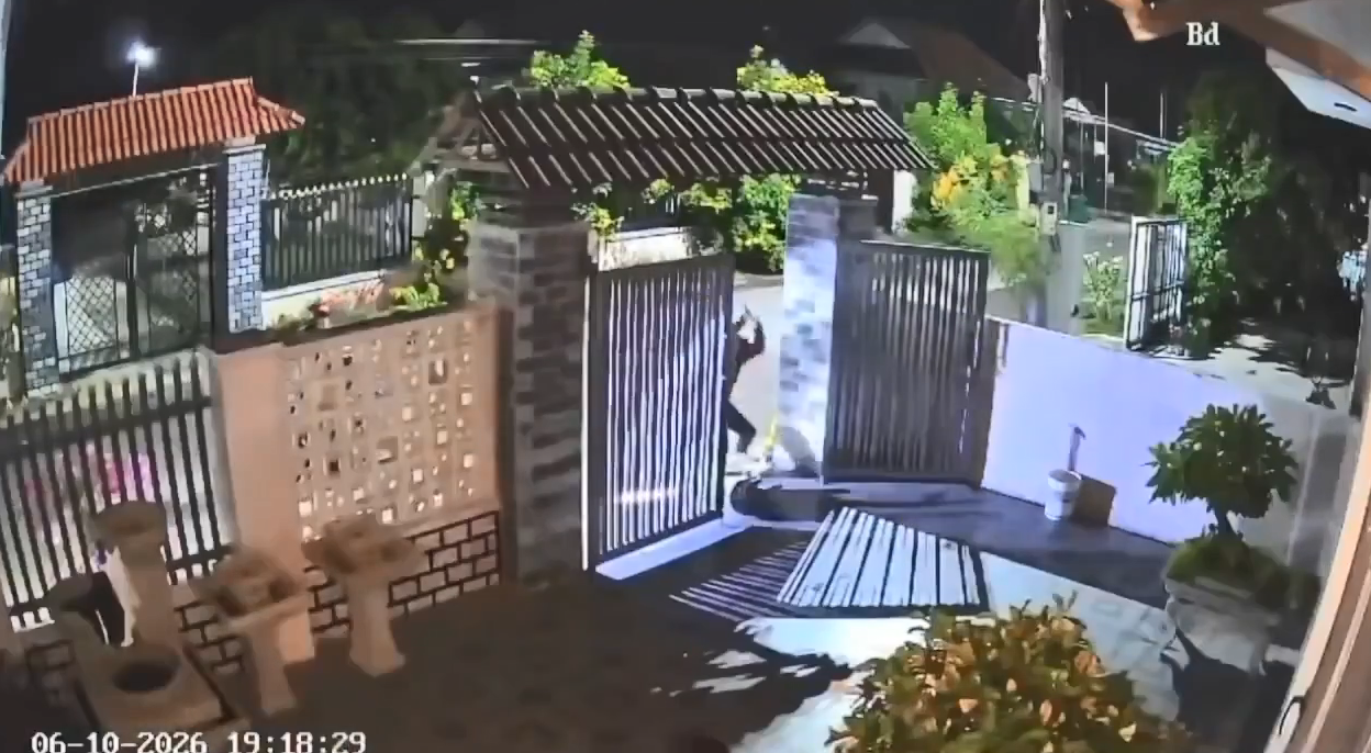 越南暗夜恐怖虐殺偷狗！惡煞當主人面前擊殺愛犬掠走