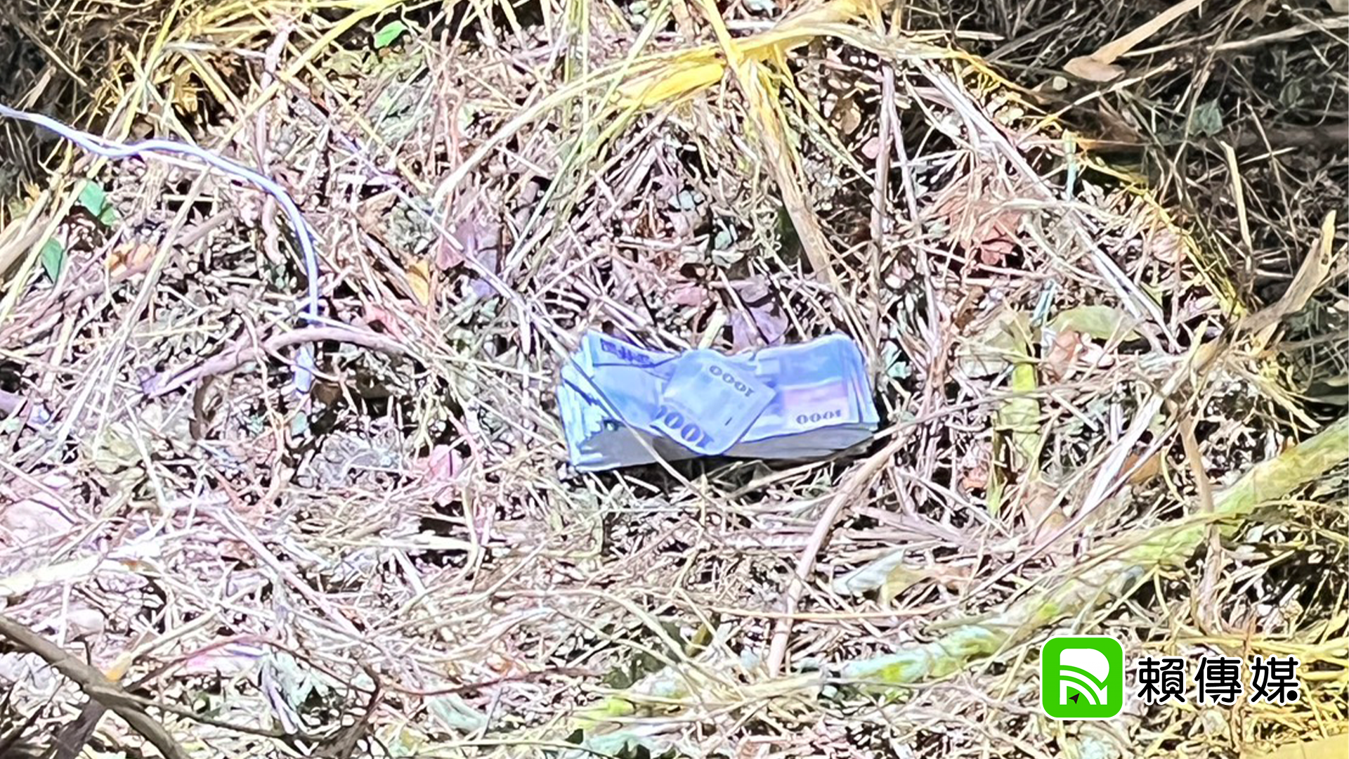 ▲邊坡草叢竟掉出兩疊千元鈔(圖/民眾提供)