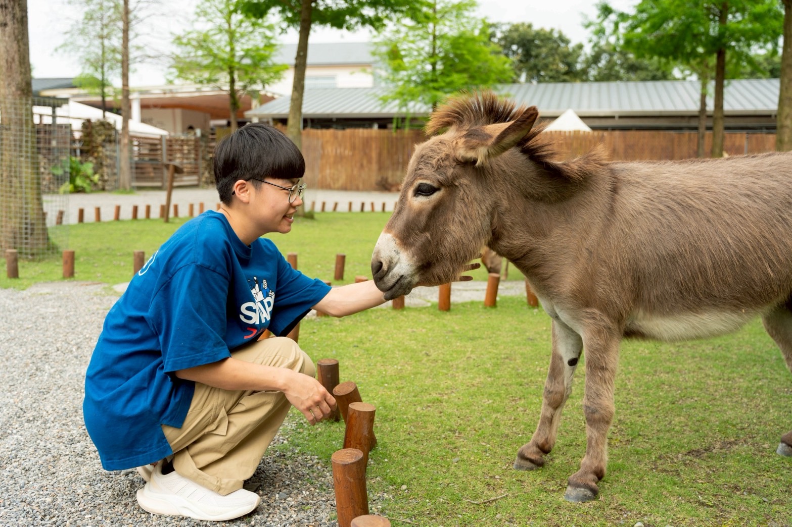 綠舞與斑比山丘推出聯賣住房專案。(圖/綠舞提供)