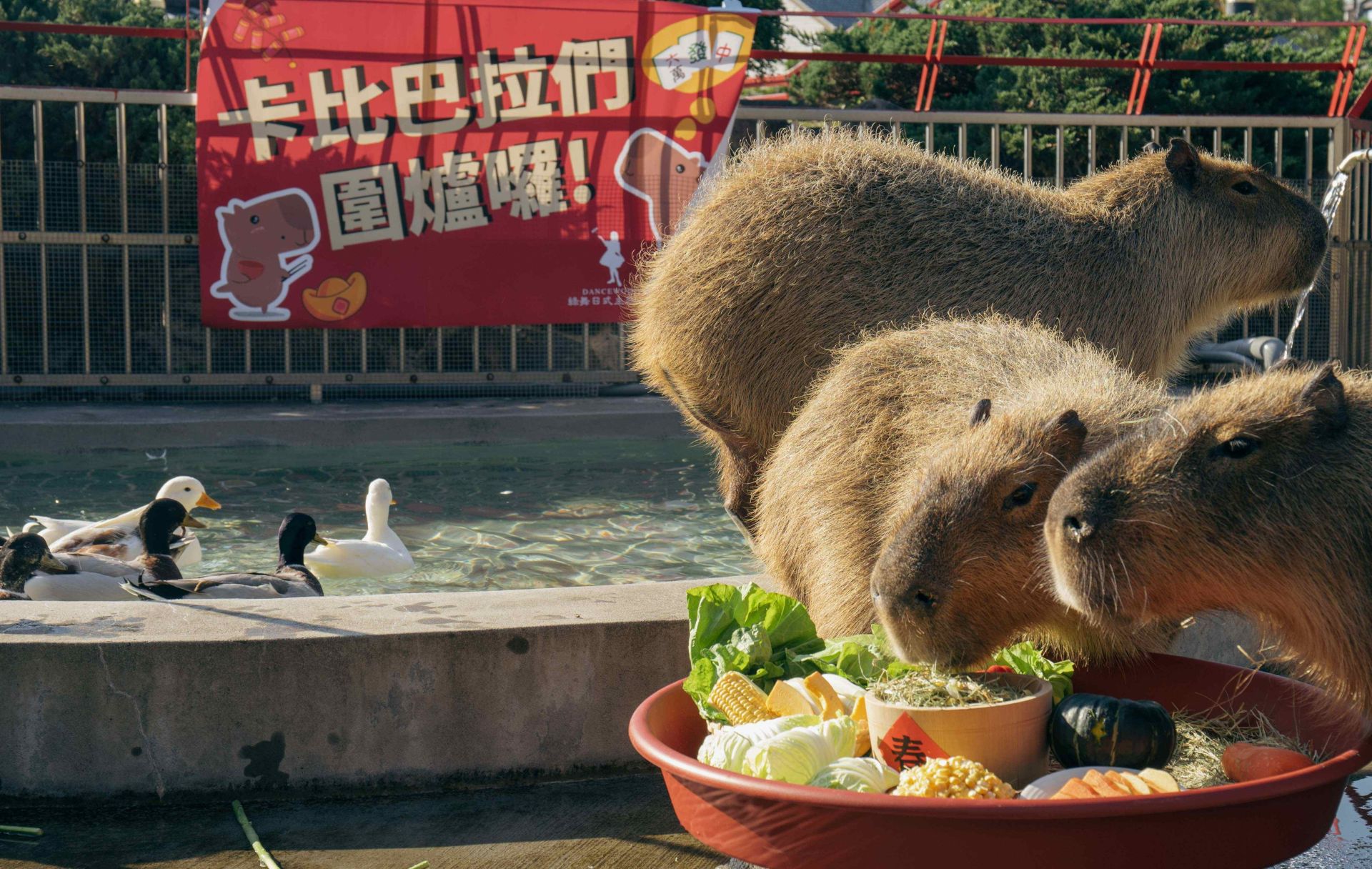 宜蘭綠舞新春年街熱鬧登場。（圖／綠舞國際觀光飯店提供）