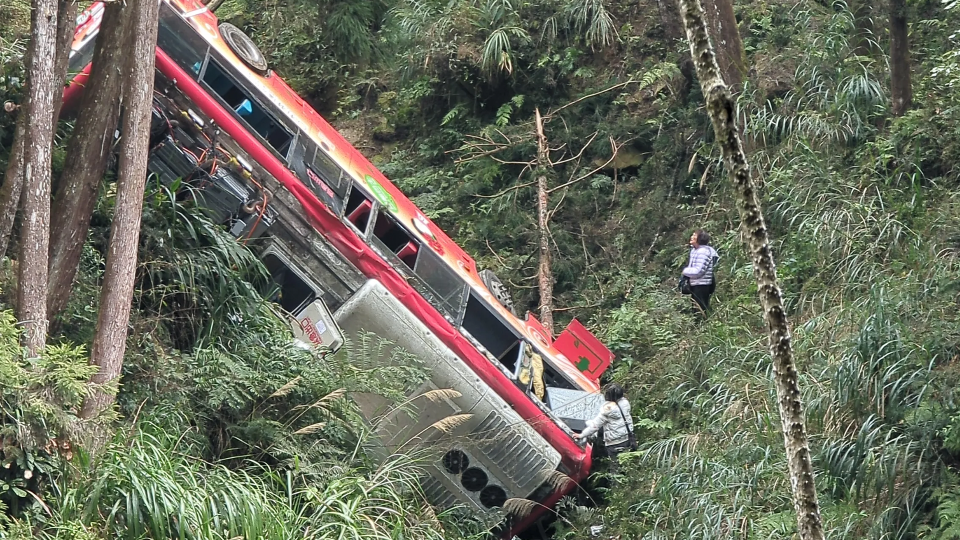 ▲南投杉林溪遊樂區巴士墜谷！車上7人驚脫困 1意識不清送醫搶救（圖／Threads／@peng840406 授權）