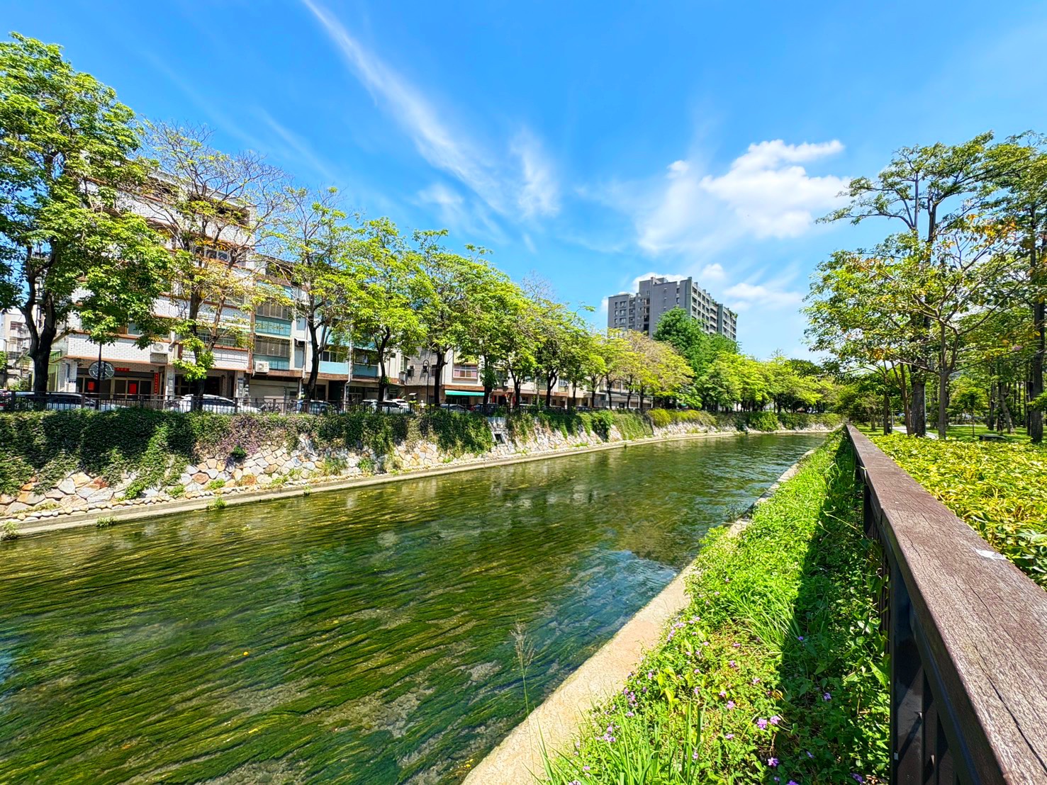 綠川水岸融合人文生態 河岸環境優美邀市民周末漫步
