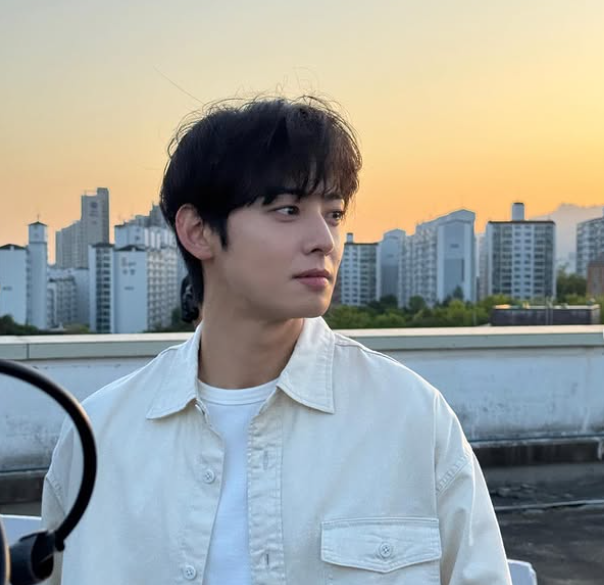 車銀優涉嫌逃漏稅。（圖／翻攝車銀優IG）