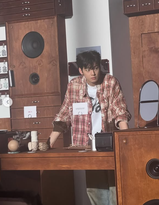 車銀優涉嫌逃漏稅。（圖／翻攝車銀優IG）