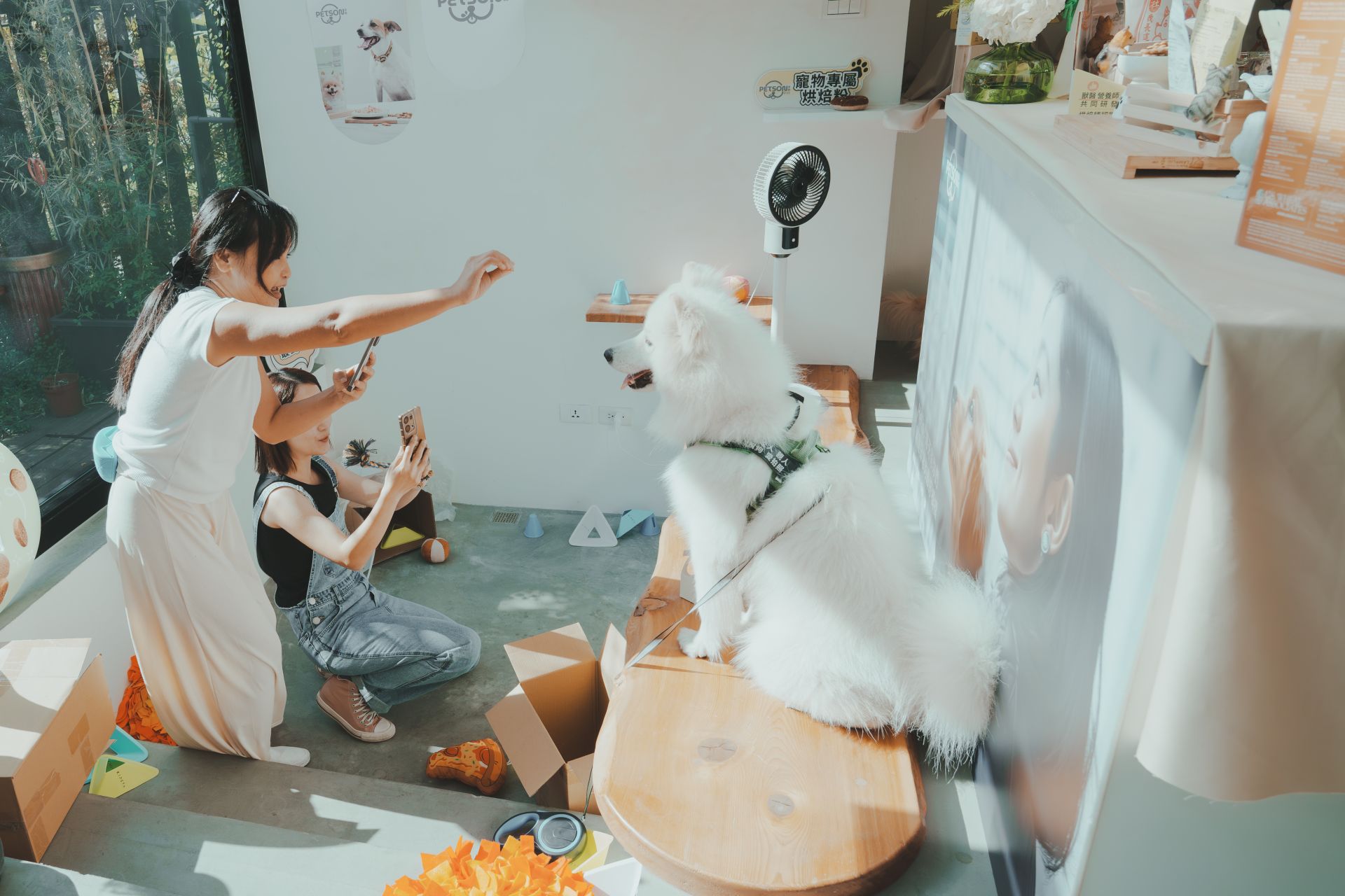 飼主與毛孩在嗅聞尋寶遊戲區開心互動，展現完美默契。（沛森提供）