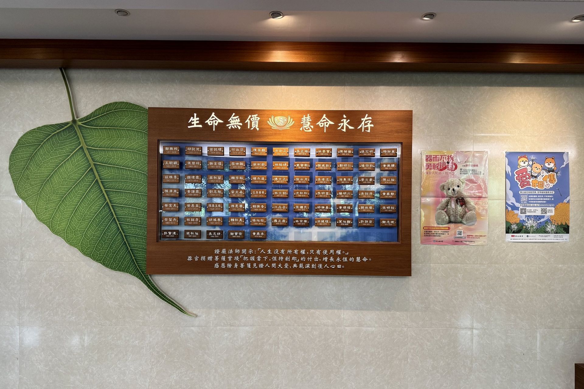 器官捐贈十週年！台中慈濟醫院用行動推廣愛與延續生命的希望