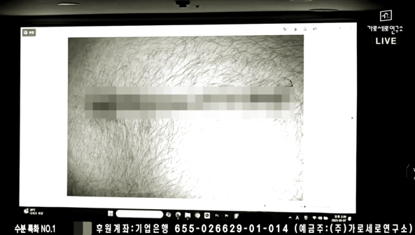 檢舉金賽綸生前錄音　男子美國遭刺9刀命危　FBI介入調查教唆殺人疑雲