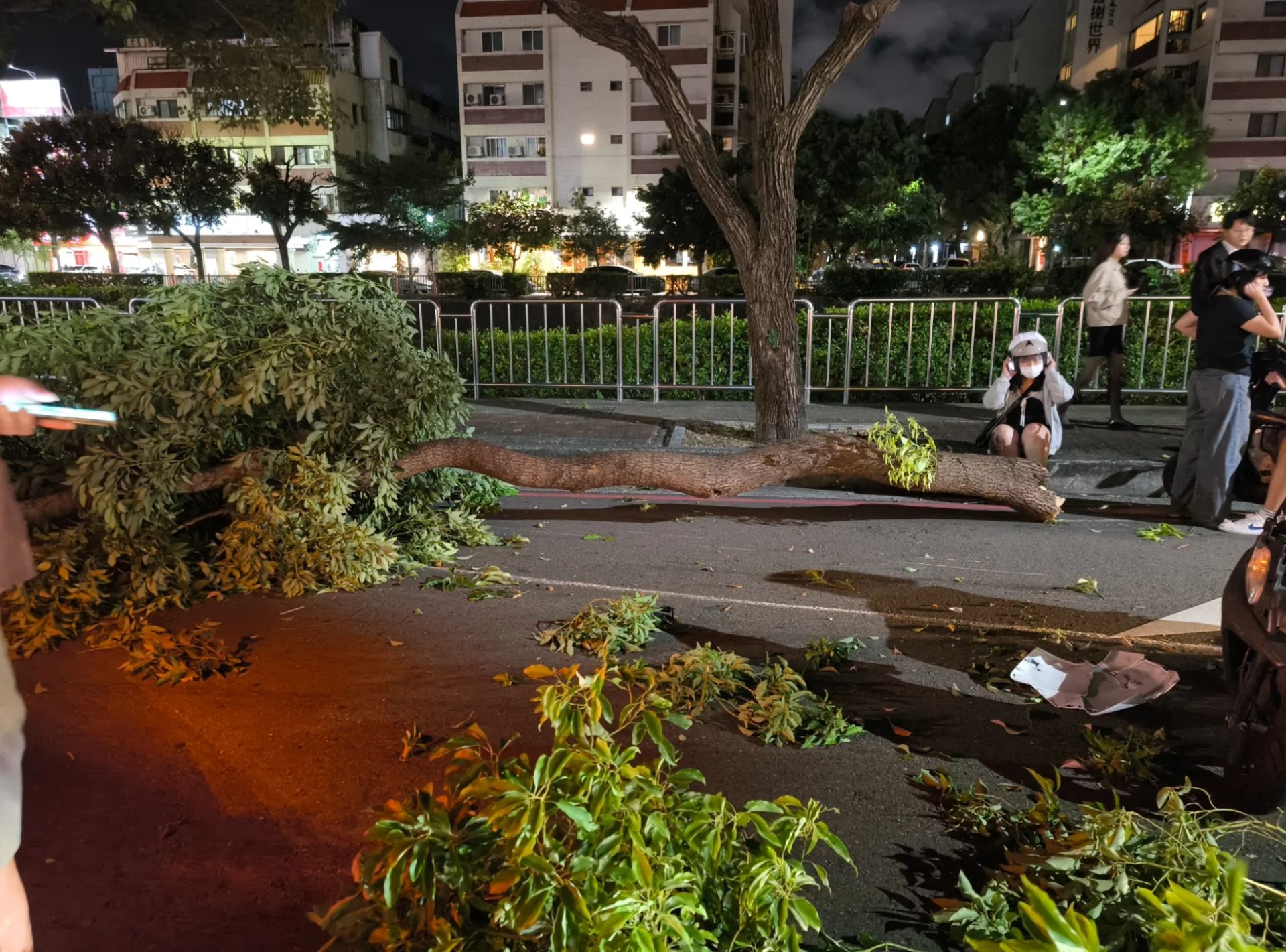 台中強陣風吹倒大樹砸傷機車騎士!忠明南路驚險畫面網瘋傳:颱風等級