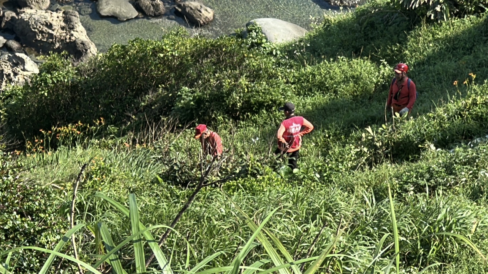 ▲台北市中山區1名65歲蘇姓婦人，上（5）月28日自遼寧街住處外出後失聯10日，今（7）日7時許，警消人員終於在基隆市中正區忘憂谷80高地邊坡約80公尺下方發現倒臥的蘇婦。(翻攝畫面)