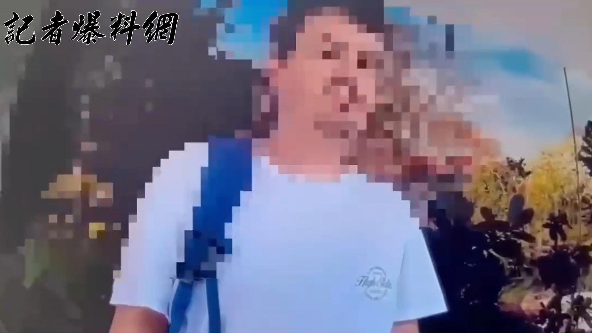 ▲波蘭籍K姓男子隨家人來台觀光，竟在逛街途中徒手觸摸多名女子臀部，短短時間內就有3名20多歲年輕女性受害。(翻攝畫面)