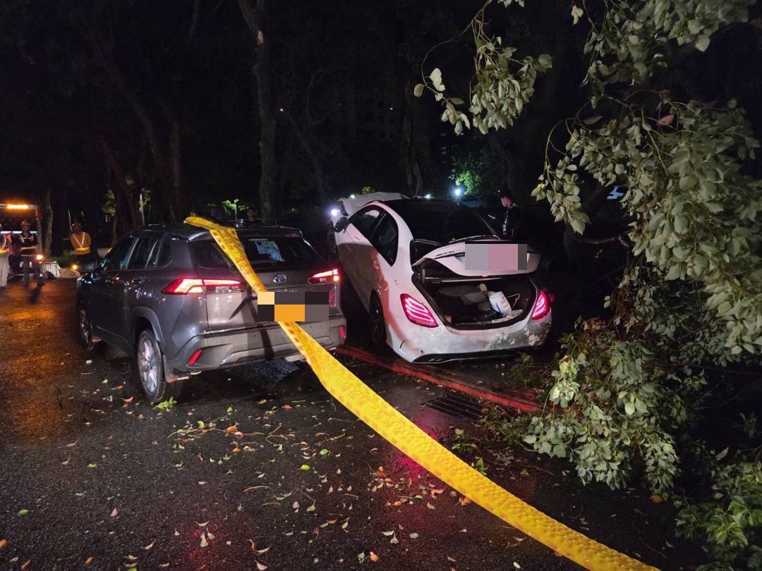 ▲台北市信義區松德路132號前，今（9）日凌晨0時許傳出1起死亡車禍。（翻攝畫面）