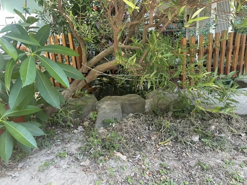 新竹縣竹北市一間主打「貼近自然環境」的幼兒園附設托嬰中心驚傳死亡意外。