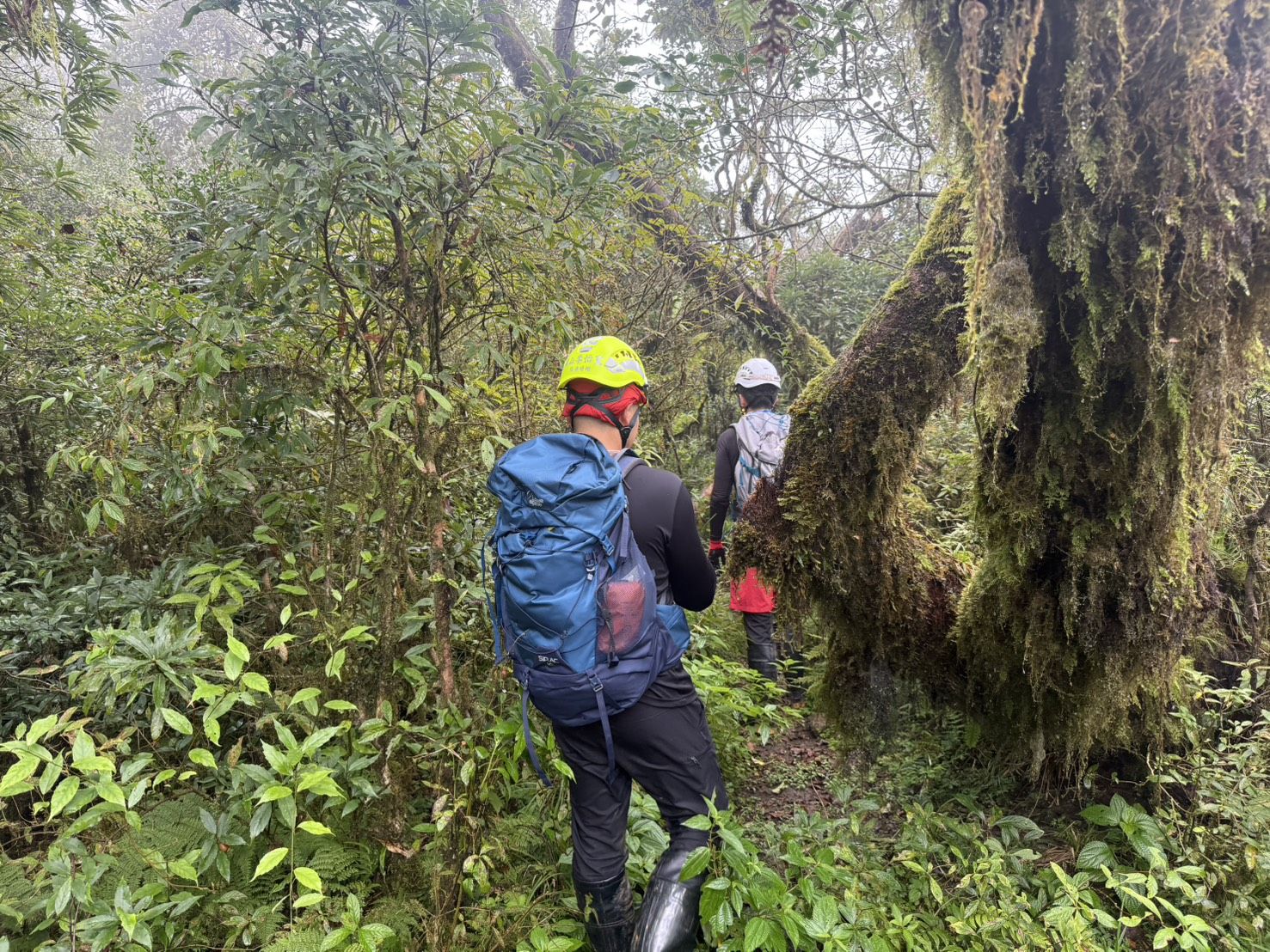 宜蘭縣員山鄉傳出登山客失聯事件，警消獲報後展開搜救行動。