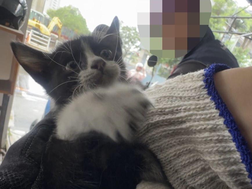 昨（11）日上午10時59分許，正值鳳凰颱風侵襲之際，新北市鶯歌區上演1場暖心的即刻救援。