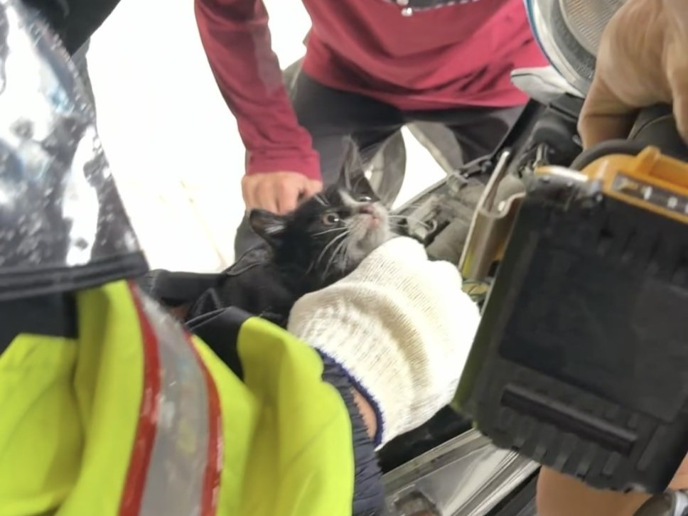 昨（11）日上午10時59分許，正值鳳凰颱風侵襲之際，新北市鶯歌區上演1場暖心的即刻救援。