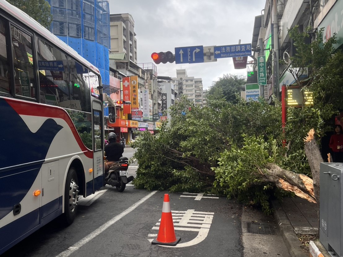 廖姓司機駕駛951線公車，不明原因失控撞斷路樹。