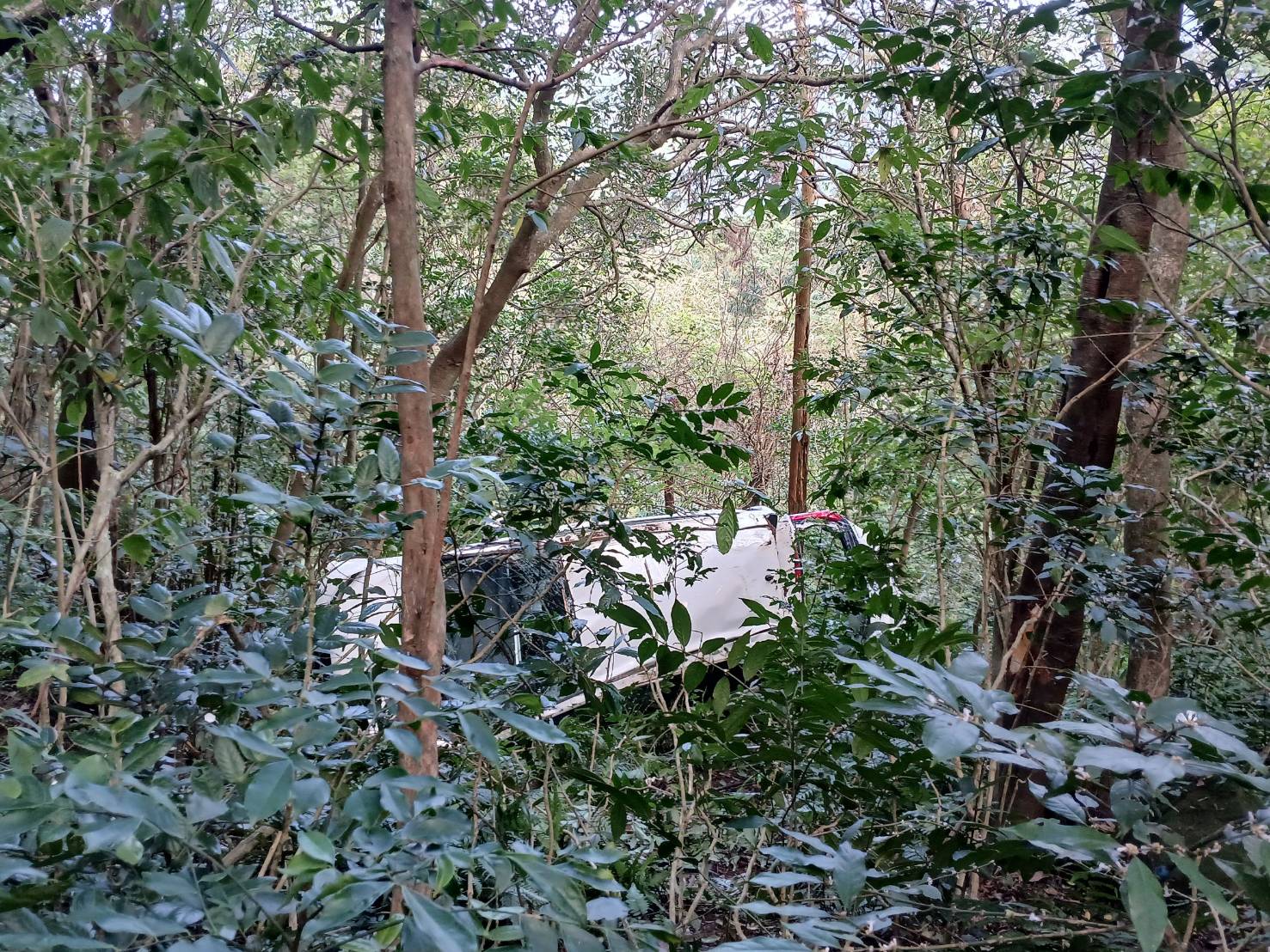 許姓女駕駛自述,事故發生的原因疑為車輛「煞車」失靈,她在左轉彎時無法減速,導致車輛直接暴衝並衝落山谷。