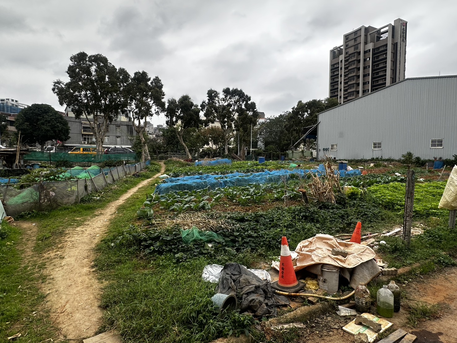 新北市林口區今(18)日早晨傳出驚悚砍人案件。