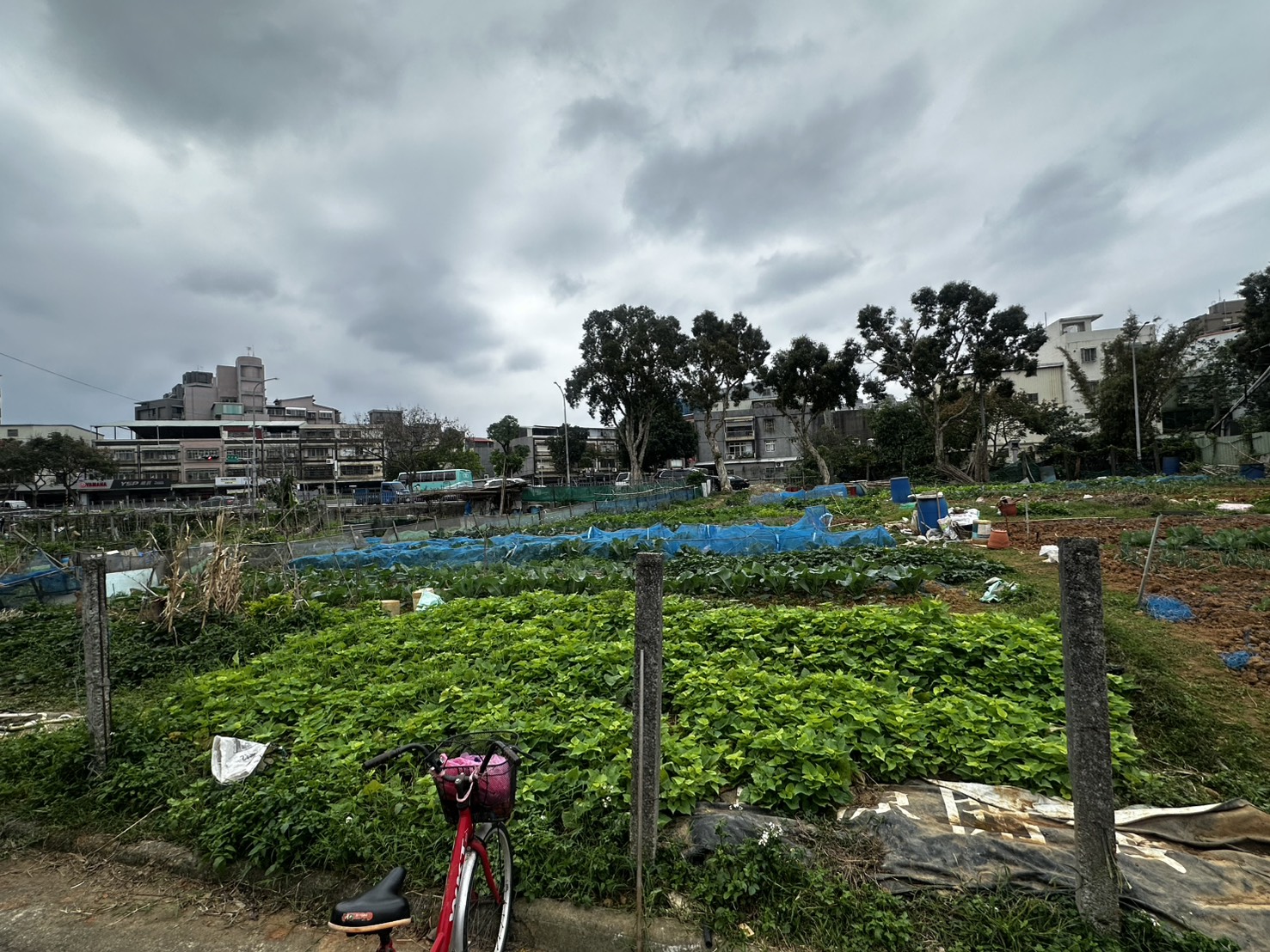 陳姓老翁正在菜園內辛勤農作,與葉男因故發生口角,葉男在爭執中突持利刃朝陳翁猛砍,造成陳翁左胸中2刀、左側身1刀及左手臂1刀。