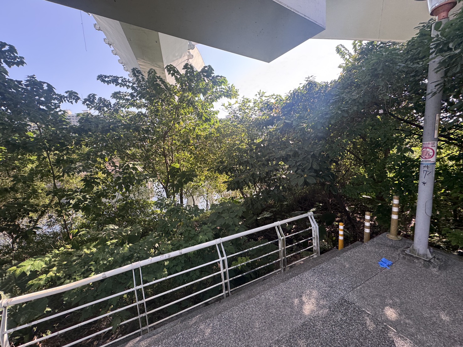 新北市新店區陽光運動公園發生1起離奇命案。