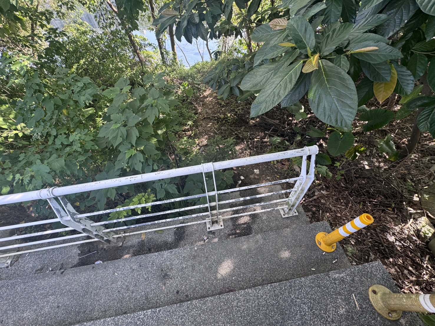 公園管理員在巡視時,驚見1對男女倒臥在陽光橋下的欄杆階梯處。