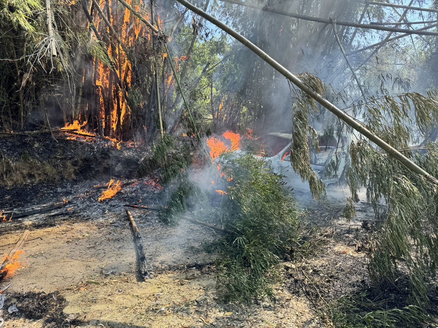 新北市新店區安華路21巷內的新店第三公墓,今(23)日上午11時許驚傳火警。