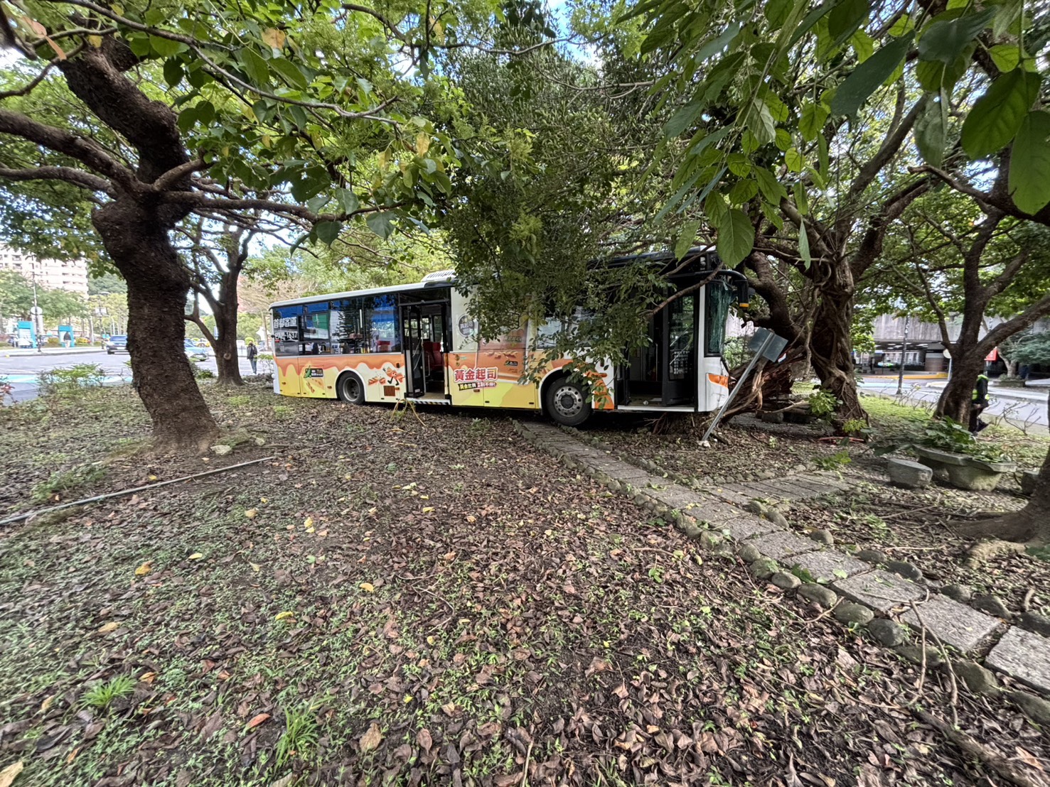 肇事的首都客運公車車頭緊貼著樹幹，車上10名人員因突如其來的碰撞，受有輕微擦挫傷。