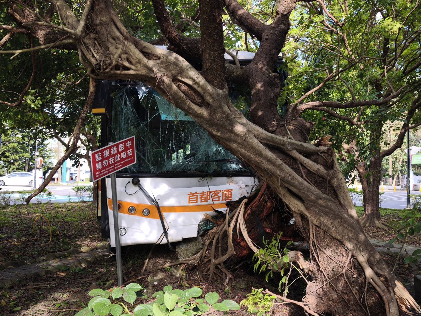 1輛首都客運公車在院內準備轉彎駛入公車站牌時，疑似突發機械故障，整輛車瞬間失控衝撞路旁樹木，直接卡在泥土地上動彈不得。