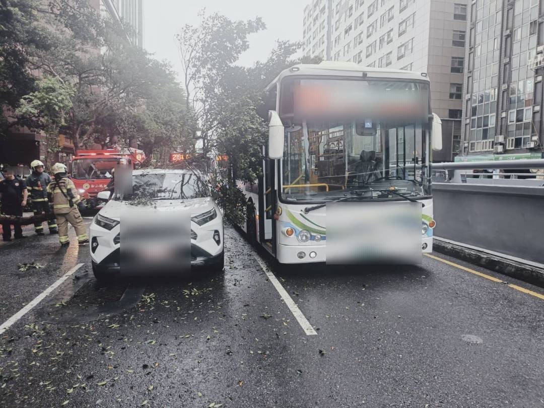 肇事大貨車沿基隆路一段北往南方向直行，不慎撞擊路旁路樹，導致路樹硬生生斷裂。倒塌樹幹不偏不倚壓中同向第一車道停等的公車，以及第二車道停等的營業小客車，造成2車車頂及車身多處受損。