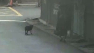 ▲金髮男走進巷子內變裝。（翻攝畫面）
