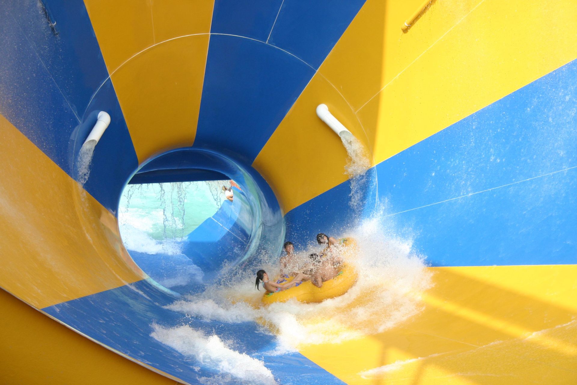 劍湖山五一連假三響砲！水樂園提早開放　花漾女神99元、狗狗首度逛樂園