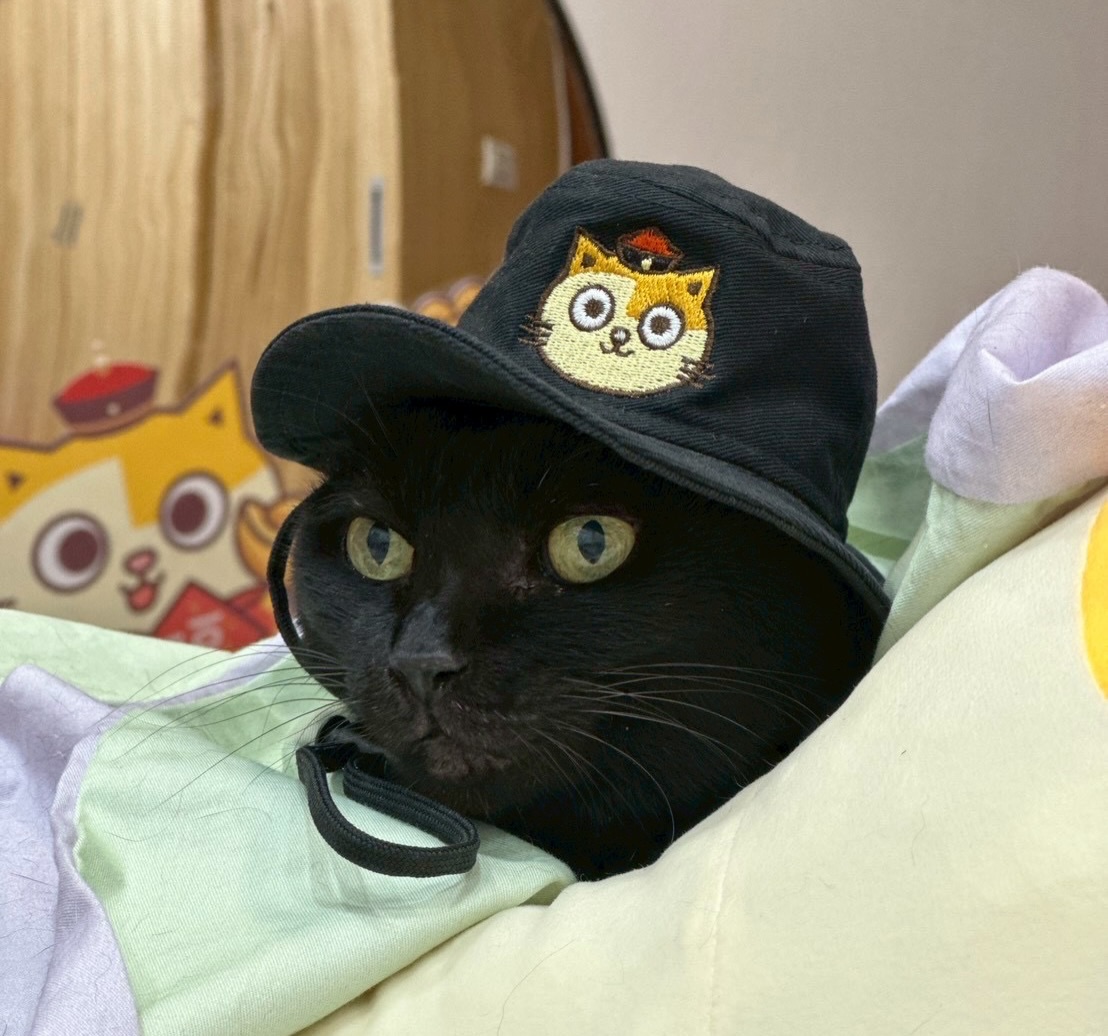 「黃阿瑪的後宮生活」黑貓Socles病逝。(圖/翻攝黃阿瑪的後宮生活臉書)