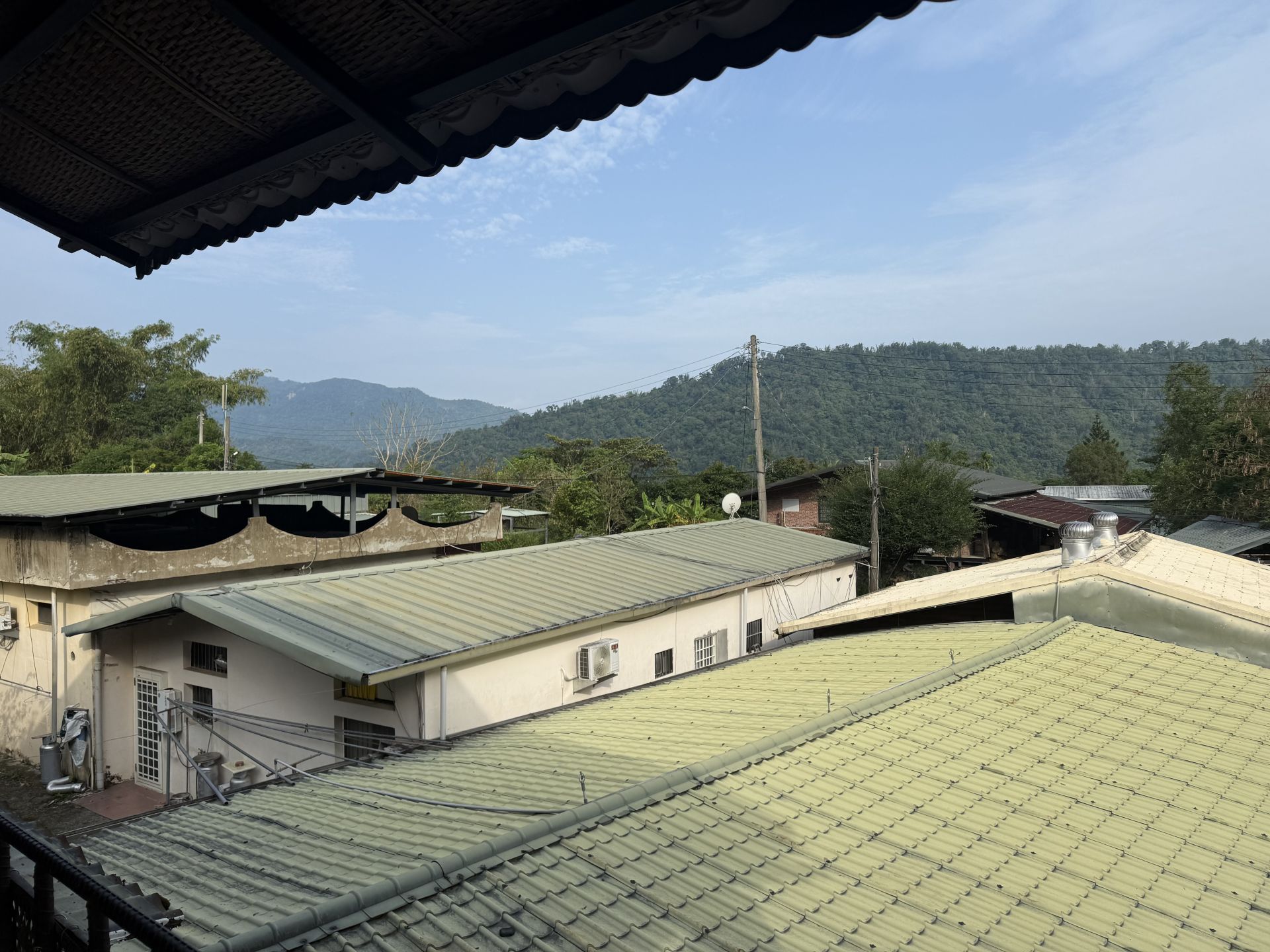 2025立夏節氣到！掌握六大開運養生法　四生肖要特別注意健康禁忌