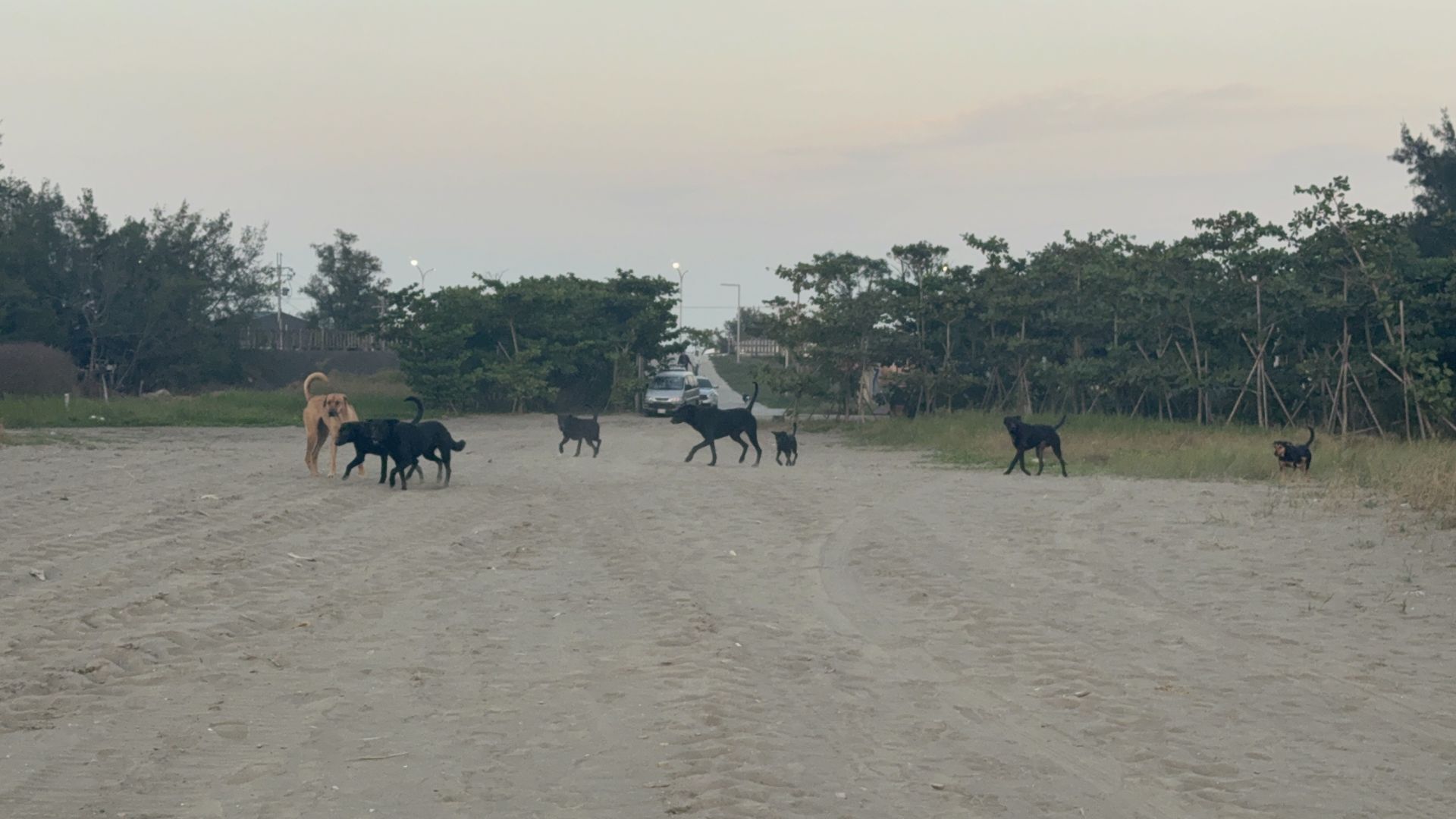 ▲台南海邊賞夕陽突遇「20黑幫」包圍追趕 民眾嚇瘋奔逃：險遇害（圖／記者王俊勝 攝；未經授權請勿翻攝）