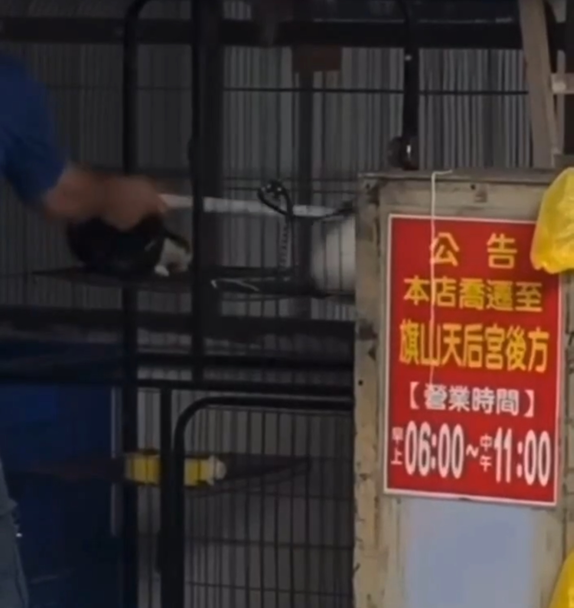 高雄碗粿店老闆疑虐貓畫面曝光！網怒刷一星罵翻　動保處出手帶走三隻貓