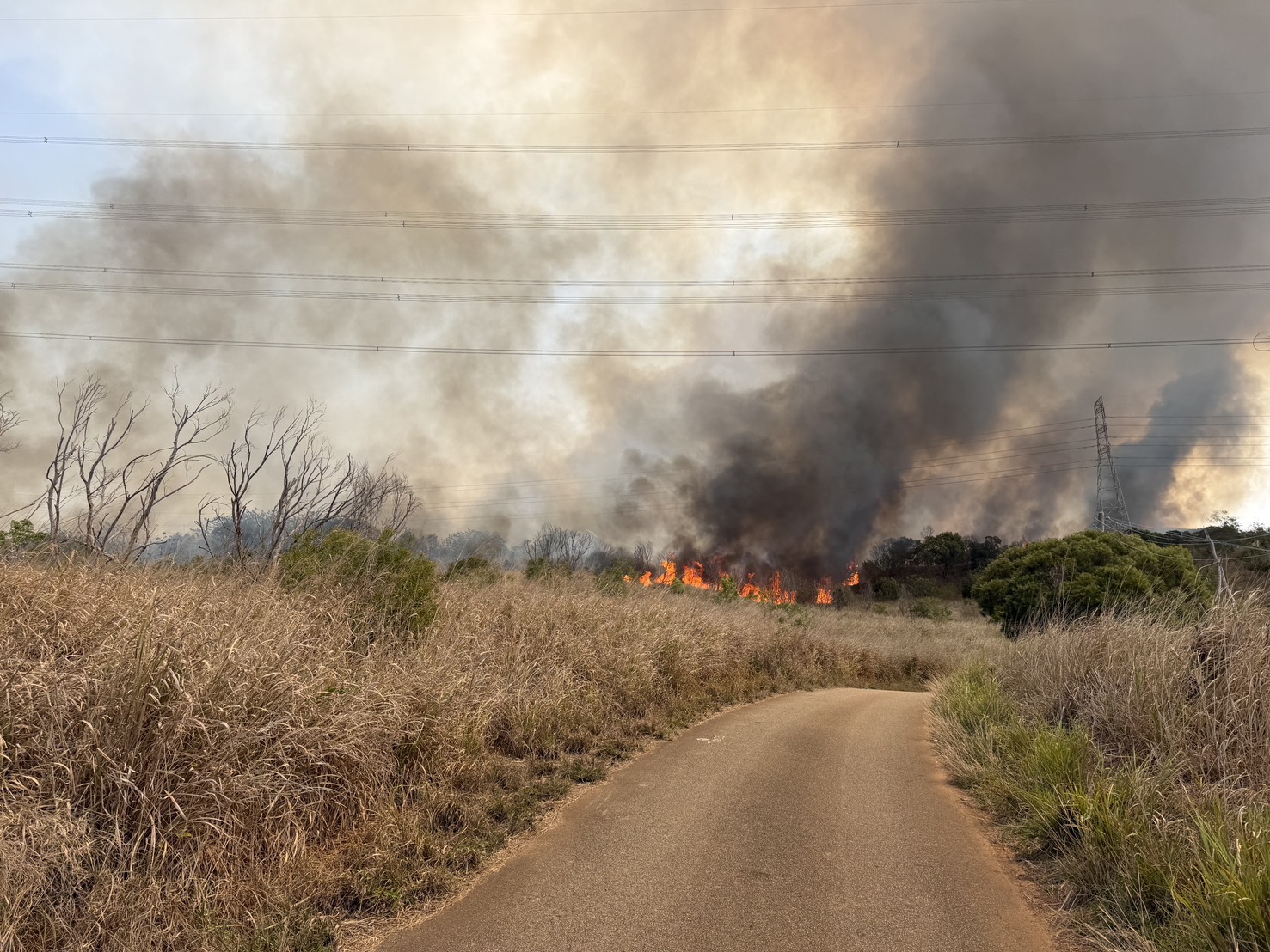 清明掃墓防火警　台中消防局籲遵守「四不一要」避免墓地火災