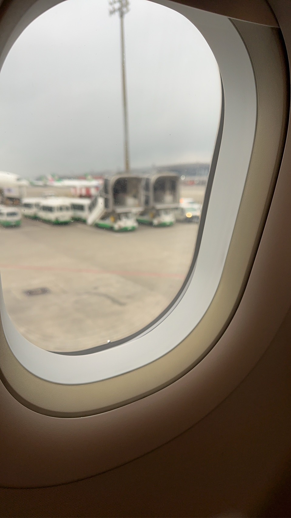 星宇航空JX761延誤逾1小時！旅客稱「加油問題」　官方回應：機務因素調整