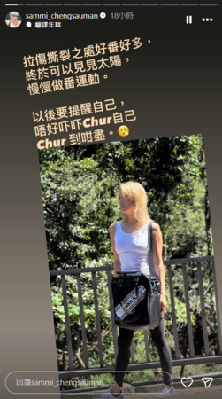 鄭秀文受傷需以輪椅代步。（圖／翻攝鄭秀文IG）