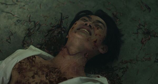 泰國最新鬼片《邪降：覺醒》以真實動物拍攝情節超驚悚。（圖／威視電影提供）​