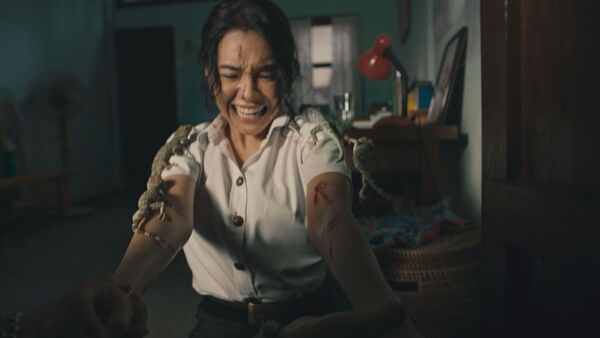 泰國最新鬼片《邪降：覺醒》以真實動物拍攝情節超驚悚。（圖／威視電影提供）​